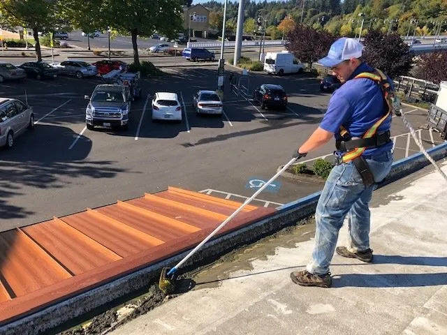 Roof moss removal in Olympia, WA by Zach's Power Washing